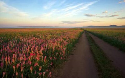 ​妈妈祝福语简短独特，祝母亲生日的唯美句子