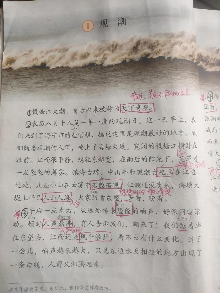 风号浪吼的读音是什么意思啊(风号浪吼的正确读音是什么)