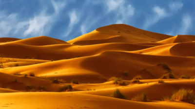 ​世界上最大的沙漠是哪个沙漠在哪里