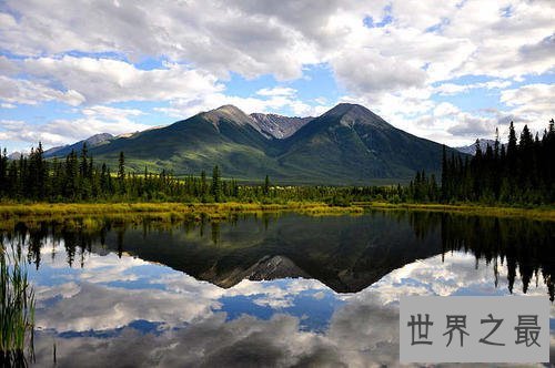 爱尔兰不可错过的十大湖泊，科罗尔湖是一个野生动物的天堂