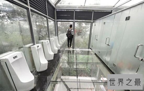 世界上最没有隐私的厕所,好像别人一直盯着自己。