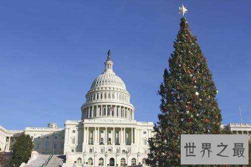 全球最美的十四大圣诞树，在绝美的艺术下度过平安夜