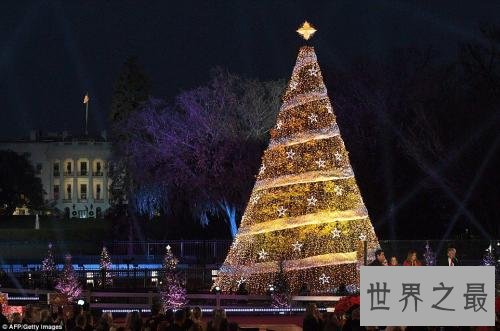 全球最美的十四大圣诞树，在绝美的艺术下度过平安夜