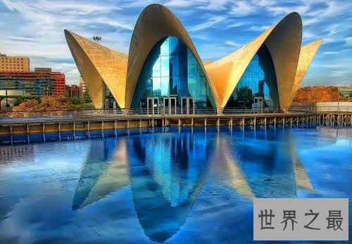 世界上最大的水族馆，第一2万立方米海洋生物10万多品种！