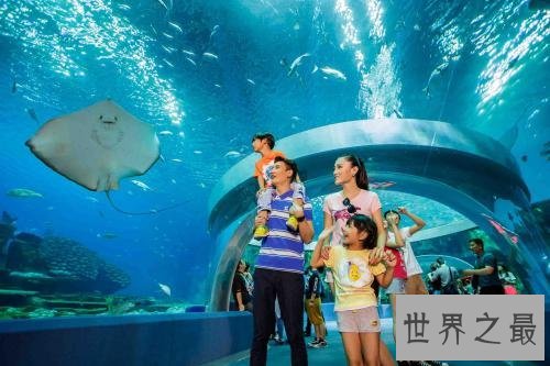 世界上最大的水族馆，第一2万立方米海洋生物10万多品种！