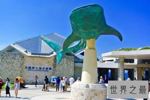 世界上最大的水族馆，第一2万立方米海洋生物10万多品种！