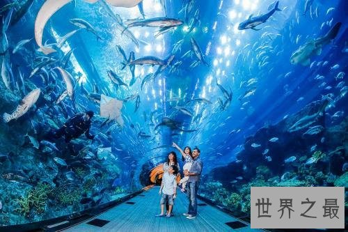 世界上最大的水族馆，第一2万立方米海洋生物10万多品种！