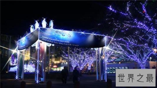 世界上最大的水族馆，第一2万立方米海洋生物10万多品种！