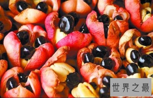 世界十大有毒食物，这些食物真的会吃死人！