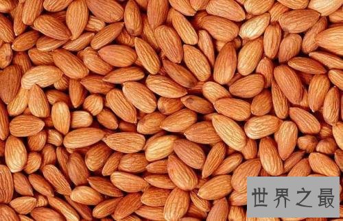 世界十大有毒食物，这些食物真的会吃死人！