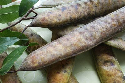 ​古人用什么洗头发？古人常用的纯天然洗发水介绍