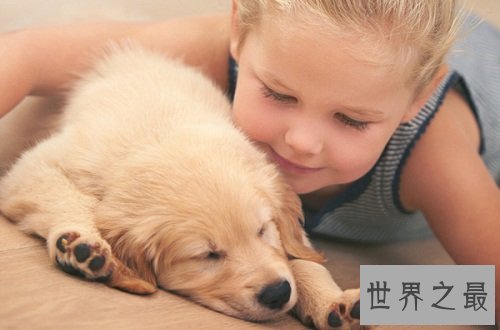 动物电影有爱版,你有被感动吗?