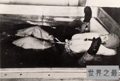 史上最骇人听闻的10个人体试验,人造连体婴儿最残忍