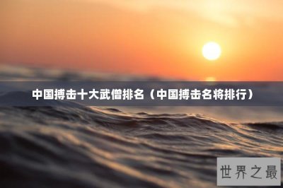 ​中国搏击十大武僧排名（中国搏击名将排行）