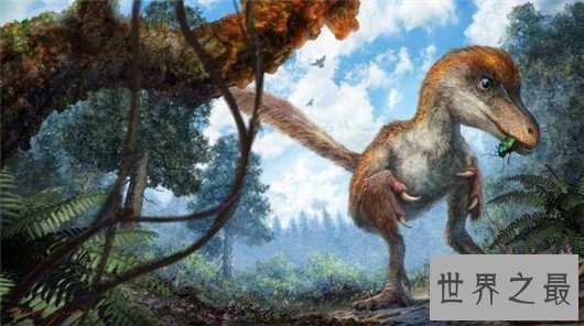 世界上最小的恐龙,最小的恐龙只有4cm长