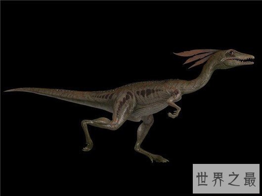 世界上最小的恐龙,最小的恐龙只有4cm长