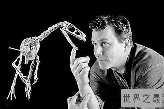 世界上最小的恐龙,最小的恐龙只有4cm长