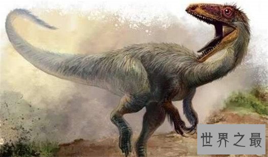 世界上最小的恐龙,最小的恐龙只有4cm长