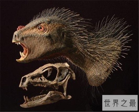 世界上最小的恐龙,最小的恐龙只有4cm长