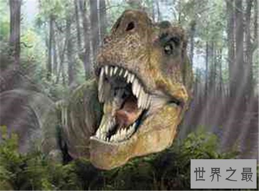 世界上最小的恐龙,最小的恐龙只有4cm长