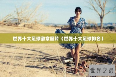 ​世界十大足球徽章图片（世界十大足球排名）