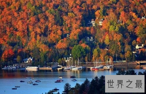 世界十大腐败程度最低的国家排行榜,贪官污吏不存在