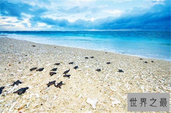 冬季必去十大海滩,卡莱尔沙滩绝对是你的首选!