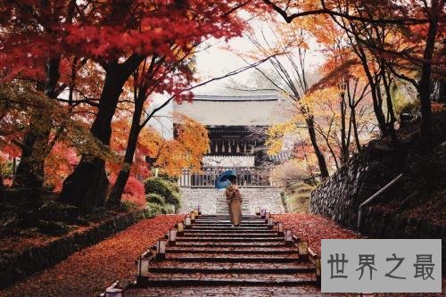 全球十大素食者天堂,这里的人都是吃素的