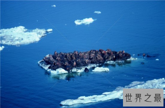 世界最大的十个海洋排行榜,珊瑚海的深度高达2394米!