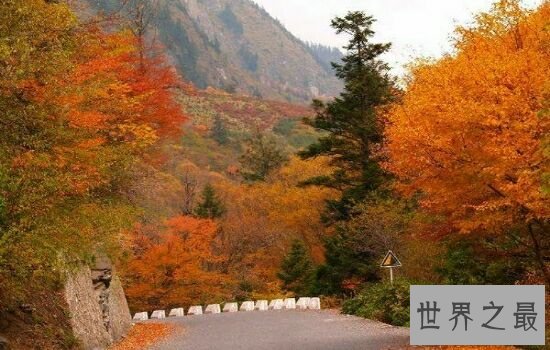 中国最美十大徒步线路,西藏墨脱位于榜单榜首!