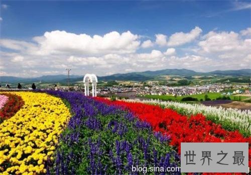 全球最美十大花海,这里是一个拍照片的好地方