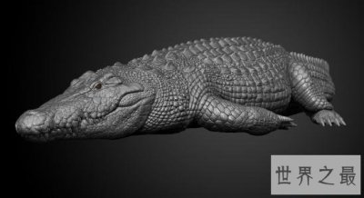 ​世界最大的鳄鱼排行榜，带你看两千公斤的庞然大物