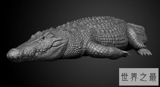 世界最大的鳄鱼排行榜,带你看两千公斤的庞然大物