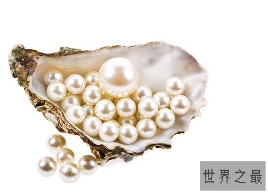 菲律宾十大特产有哪些,菲律宾最好的特产!