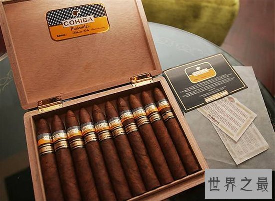 菲律宾十大特产有哪些,菲律宾最好的特产!