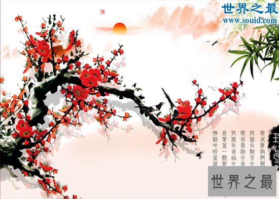 中国十大名花排名,花中之魁梅花第一(牡丹第二)