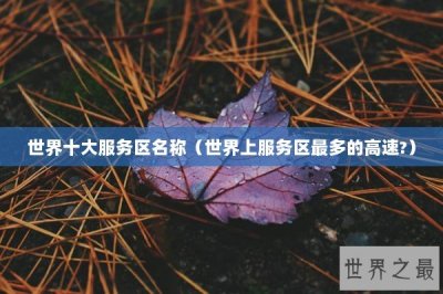 ​世界十大服务区名称（世界上服务区最多的高速?）