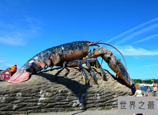 震惊!神秘海洋中的巨型龙虾——身长1.2米,体重达到40斤