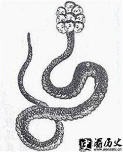 ​长相思相柳究竟是怎样的人