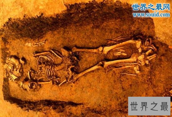 中国最古老的乐器,贾湖骨笛(距今9000年)