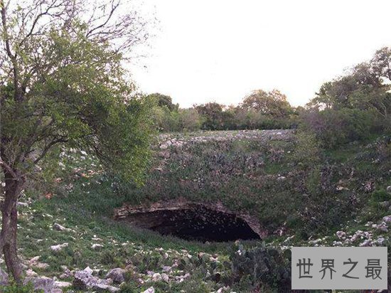 世界最大蝙蝠洞,最多有两千万只蝙蝠!