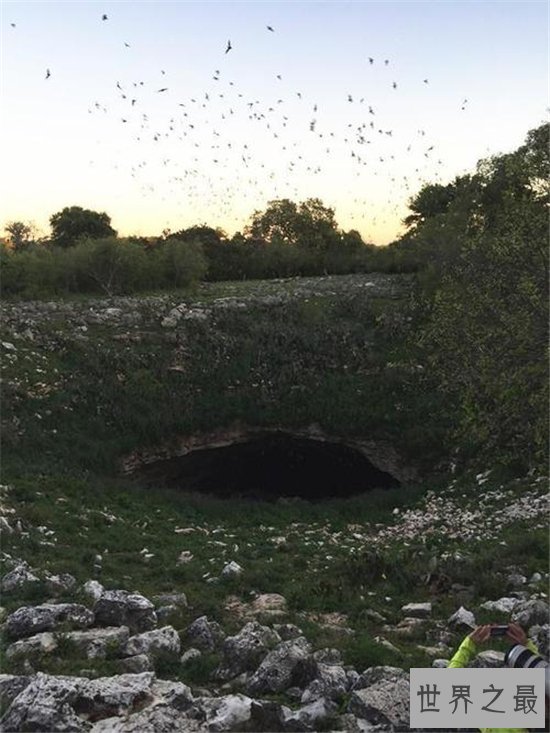 世界最大蝙蝠洞,最多有两千万只蝙蝠!