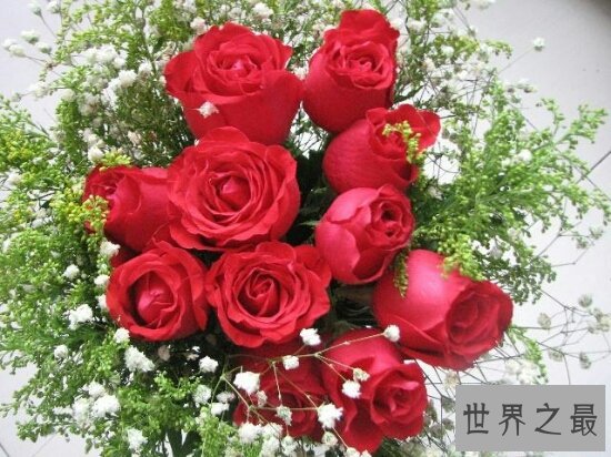 一生一世,生死不离,感人的结婚十年感言