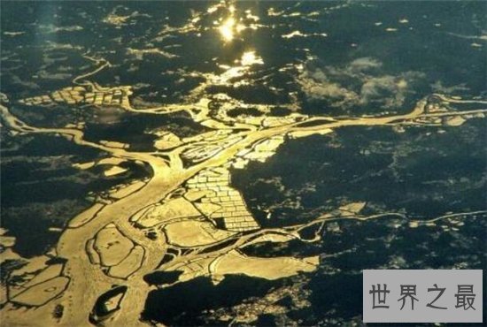 最早的哺乳动物,摩根齿兽距今2.05亿年历史!