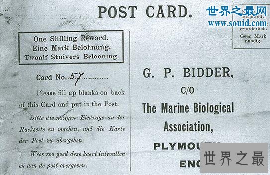 史上最古老的瓶中信,老人捡到108年前的漂流瓶