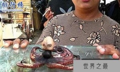 ​印尼章鱼人是真的吗?人头章鱼竟然发出婴儿啼哭声