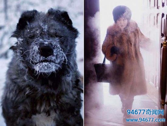 世界最冷的城市没有之一,去过的人终身难忘