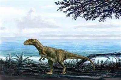 ​气腔龙：兽脚亚目中的一种（生存在白垩纪晚期的恐龙）