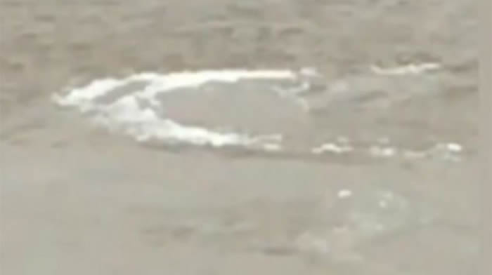 尼斯湖水怪跑到英国泰晤士河?出现神秘“带鳍生物”