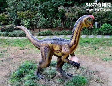 ​史上最冤的恐龙，窃蛋龙(并非靠偷窃为生)